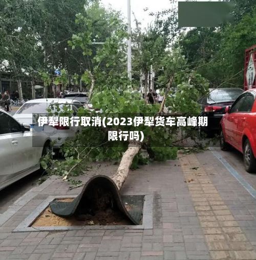 伊犁限行取消(2023伊犁货车高峰期限行吗)-第2张图片