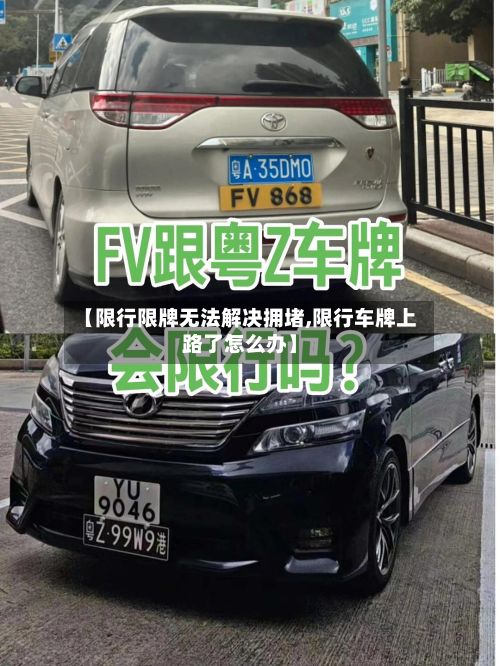【限行限牌无法解决拥堵,限行车牌上路了怎么办】-第2张图片