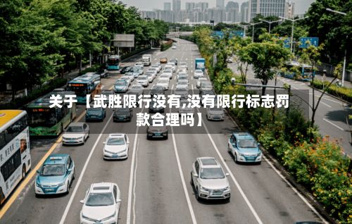 关于【武胜限行没有,没有限行标志罚款合理吗】-第3张图片