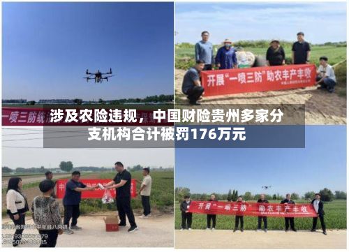 涉及农险违规，中国财险贵州多家分支机构合计被罚176万元