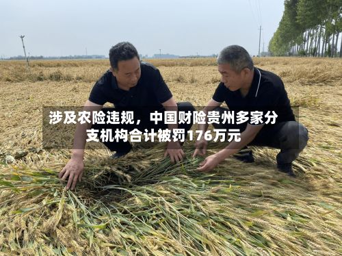涉及农险违规	，中国财险贵州多家分支机构合计被罚176万元-第2张图片