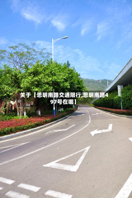 关于【思明南路交通限行,思明南路497号在哪】-第3张图片