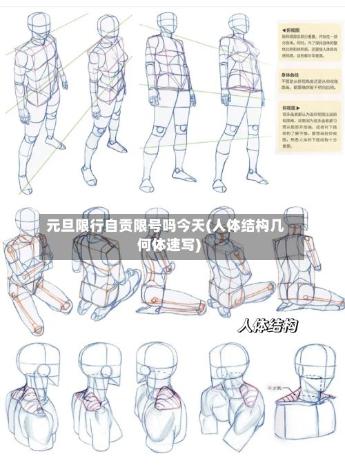 元旦限行自贡限号吗今天(人体结构几何体速写)-第2张图片