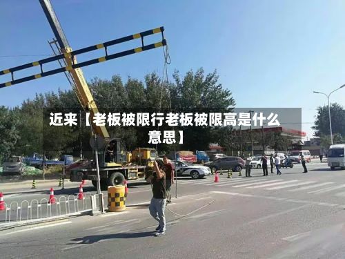 近来【老板被限行老板被限高是什么意思】-第3张图片