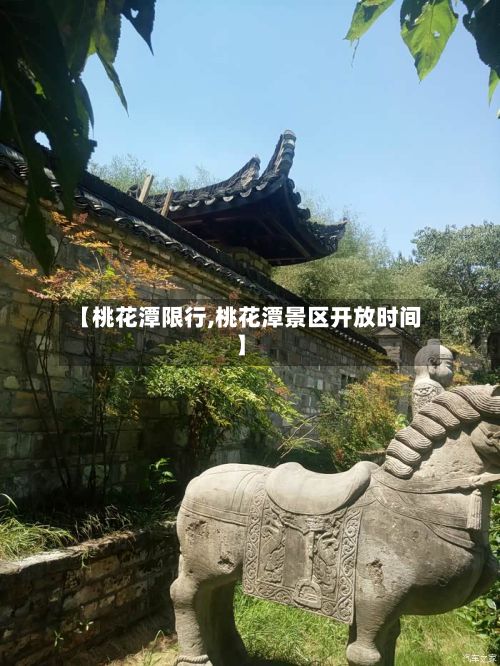 【桃花潭限行,桃花潭景区开放时间】