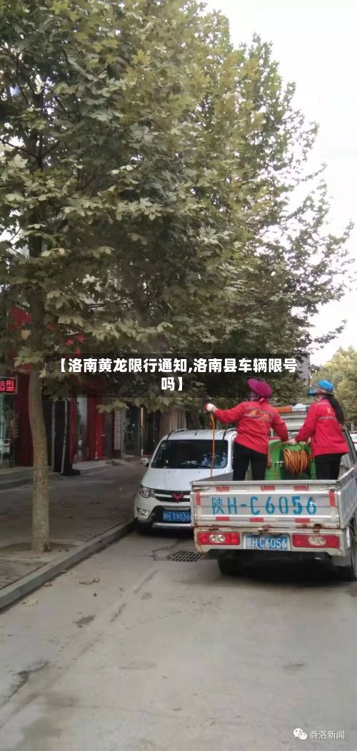 【洛南黄龙限行通知,洛南县车辆限号吗】-第2张图片