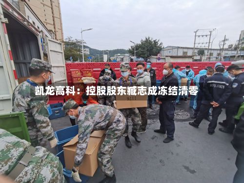 凯龙高科：控股股东臧志成冻结清零