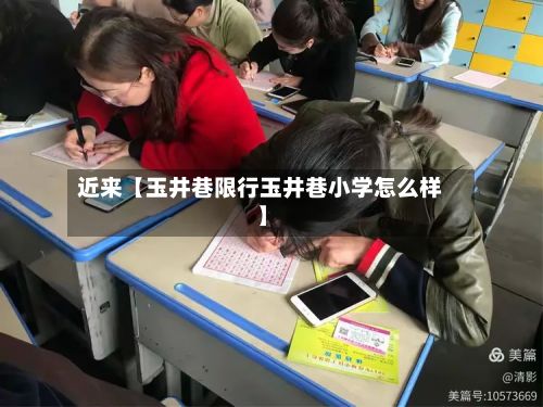 近来【玉井巷限行玉井巷小学怎么样】-第2张图片