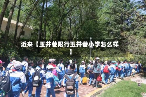 近来【玉井巷限行玉井巷小学怎么样】
