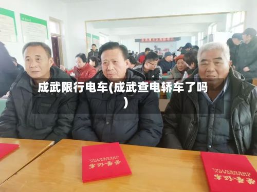 成武限行电车(成武查电轿车了吗)