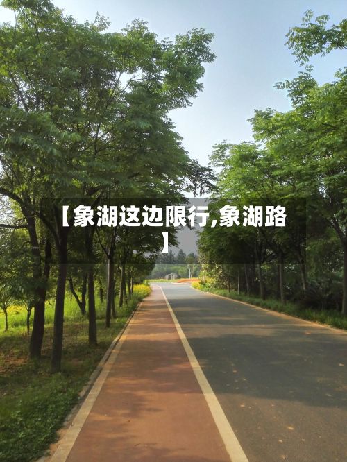 【象湖这边限行,象湖路】