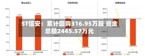 ST信安:累计回购316.95万股 资金总额2445.57万元-第2张图片
