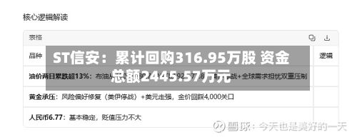 ST信安：累计回购316.95万股 资金总额2445.57万元