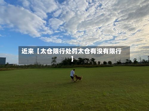 近来【太仓限行处罚太仓有没有限行】-第2张图片