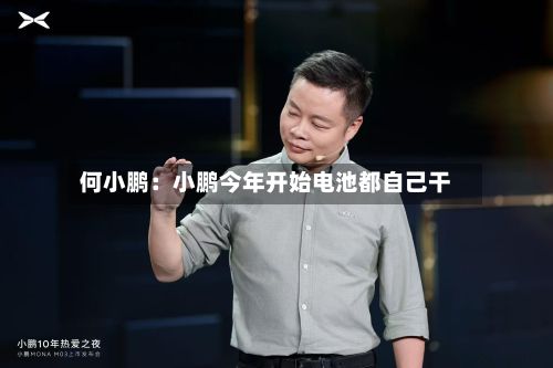 何小鹏:小鹏今年开始电池都自己干