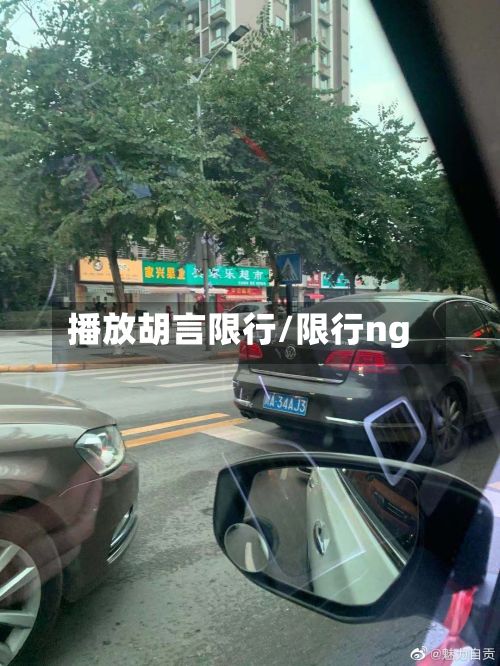 播放胡言限行/限行ng