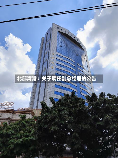 北部湾港：关于聘任副总经理的公告