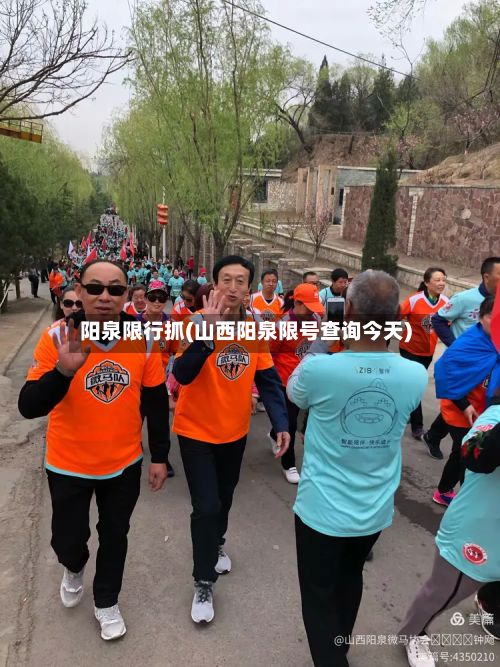 阳泉限行抓(山西阳泉限号查询今天)-第3张图片