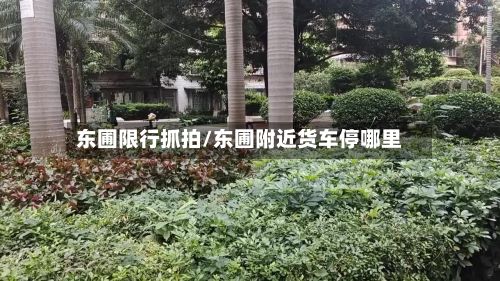 东圃限行抓拍/东圃附近货车停哪里