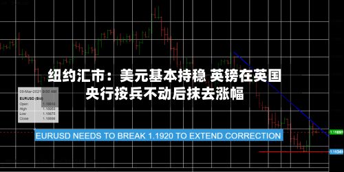 纽约汇市：美元基本持稳 英镑在英国央行按兵不动后抹去涨幅