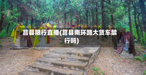 莒县限行直播(莒县南环路大货车禁行吗)