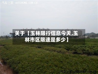 关于【玉林限行信息今天,玉林市区限速是多少】