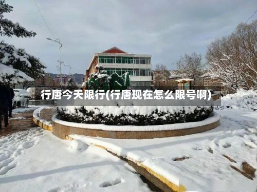 行唐今天限行(行唐现在怎么限号啊)-第3张图片