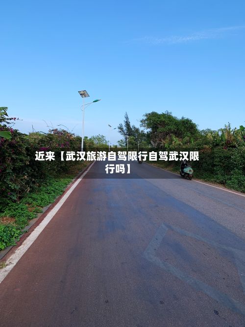 近来【武汉旅游自驾限行自驾武汉限行吗】