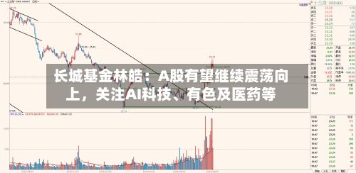 长城基金林皓：A股有望继续震荡向上，关注AI科技、有色及医药等
