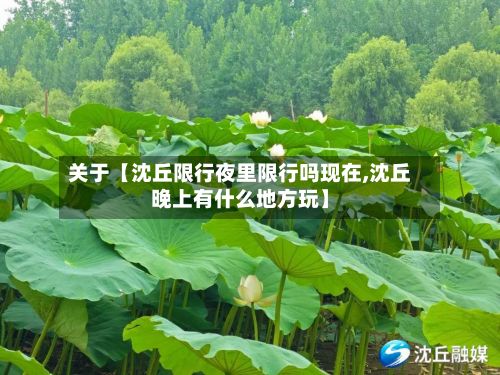 关于【沈丘限行夜里限行吗现在,沈丘晚上有什么地方玩】-第3张图片