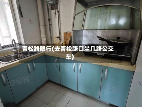 青松路限行(去青松路口坐几路公交车)