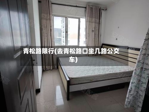 青松路限行(去青松路口坐几路公交车)-第2张图片