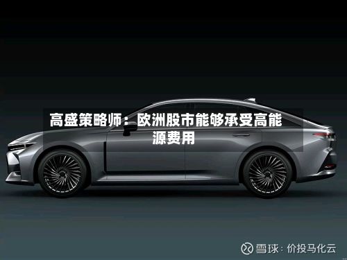 高盛策略师：欧洲股市能够承受高能源费用