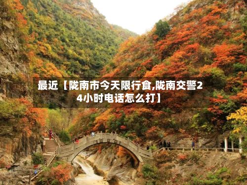 最近【陇南市今天限行食,陇南交警24小时电话怎么打】