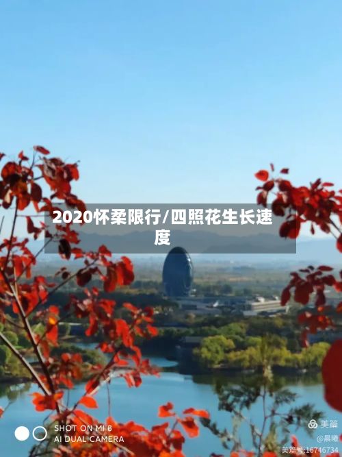 2020怀柔限行/四照花生长速度