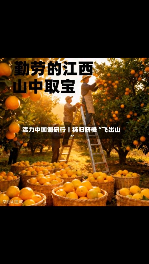 活力中国调研行丨秭归脐橙“飞出山	”-第2张图片