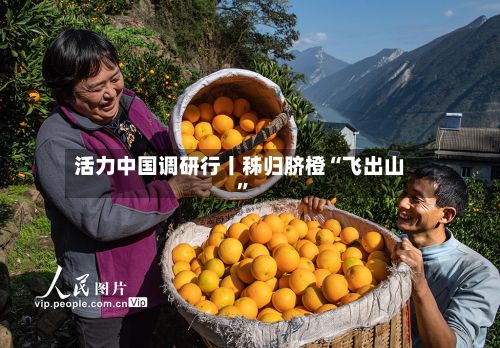 活力中国调研行丨秭归脐橙“飞出山”