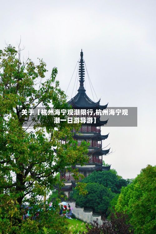关于【杭州海宁观潮限行,杭州海宁观潮一日游导游】