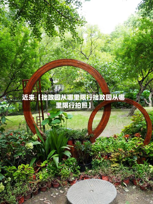 近来【拙政园从哪里限行拙政园从哪里限行拍照】