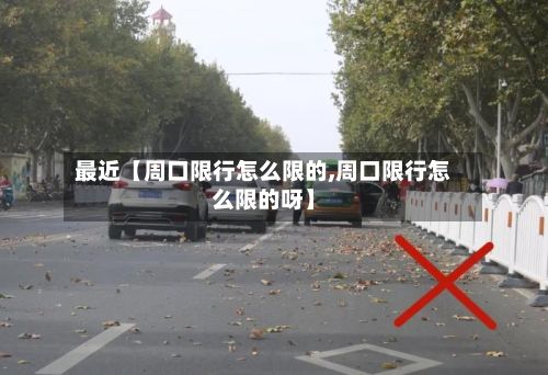 最近【周口限行怎么限的,周口限行怎么限的呀】-第3张图片