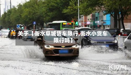 关于【衡水阜城货车限行,衡水小货车限行吗】-第2张图片