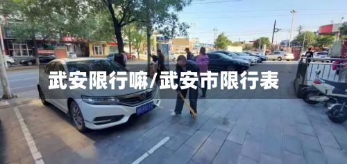 武安限行嘛/武安市限行表