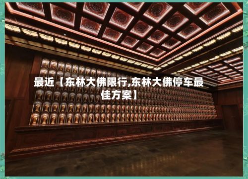 最近【东林大佛限行,东林大佛停车最佳方案】-第3张图片
