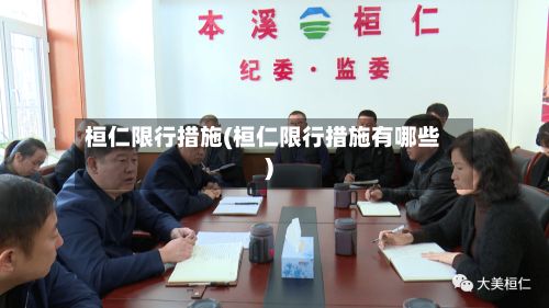 桓仁限行措施(桓仁限行措施有哪些)