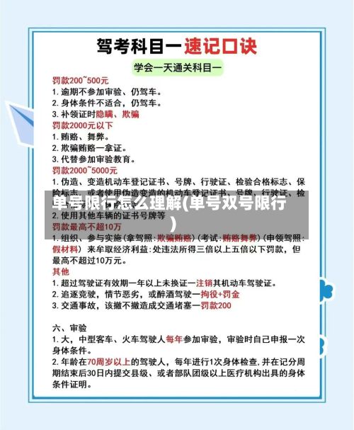 单号限行怎么理解(单号双号限行)