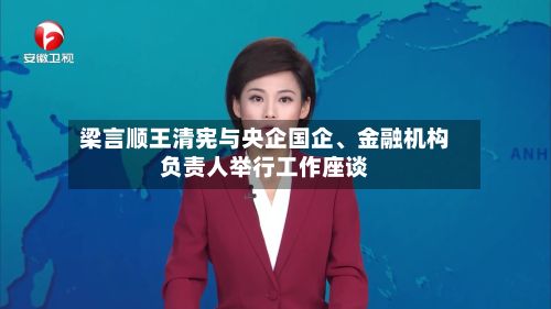 梁言顺王清宪与央企国企、金融机构负责人举行工作座谈-第2张图片
