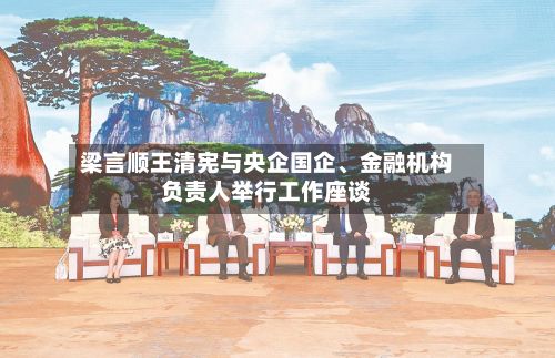 梁言顺王清宪与央企国企、金融机构负责人举行工作座谈