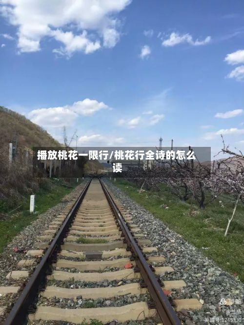 播放桃花一限行/桃花行全诗的怎么读