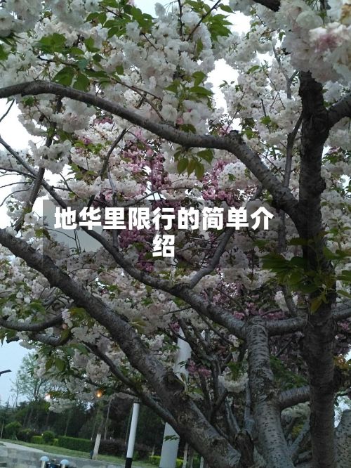 地华里限行的简单介绍
