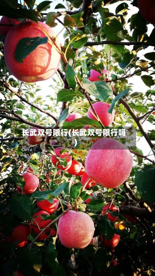 长武双号限行(长武双号限行吗)